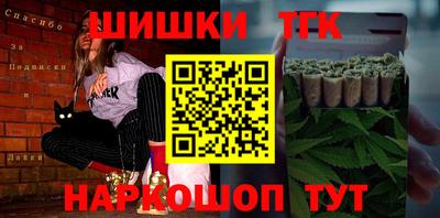 МДПВ Пенза