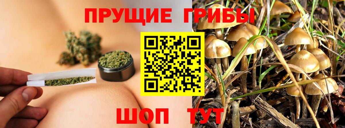Галлюциногенные грибы GOLDEN TEACHER Симферополь