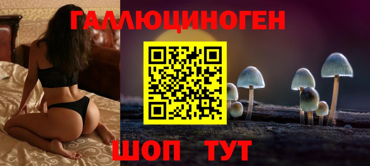 Симферополь  Псилоцибиновые грибы прущие грибы  Вход с VPN 